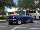 Thumbnail Photo 14 for 1966 Ford Mustang